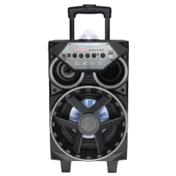 8‚Äù Portable Pa Speaker<Pyle Hot