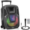 15" Portable Speaker - Wireless Streaming, LED, Wheels, Rechargeable Battery<Pyle