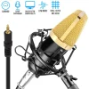 Cardioid Condenser Mic Kit - Crisp Audio, Large Diaphragm, Easy Setup<Pyle