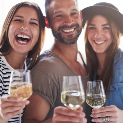 Crystal Wine Glasses - Elegant Design, Lead-Free Crystal, Dishwasher Safe<NutriChef Sale