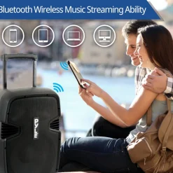 Wireless Portable PA Speaker 1000W Bluetooth 12
